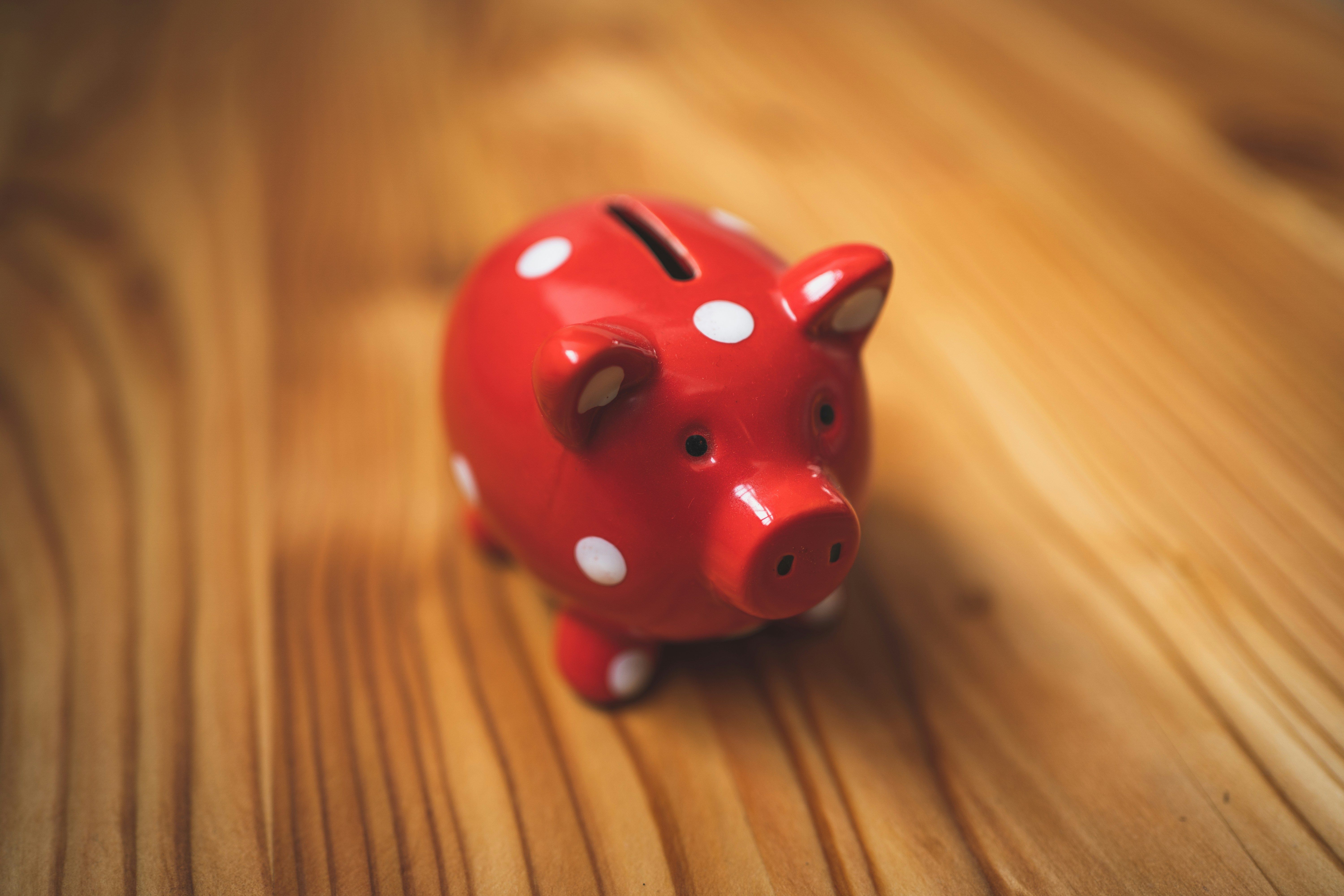 SMSF pig2.jpg
